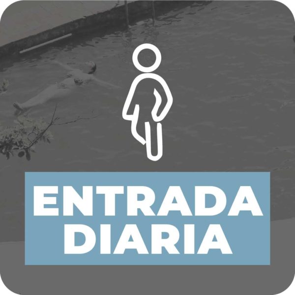 Entrada diaria